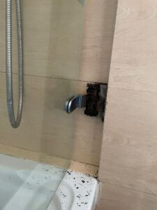 Fotos mamparas ducha para reparar